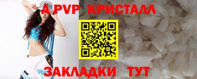 дмт Сланцы