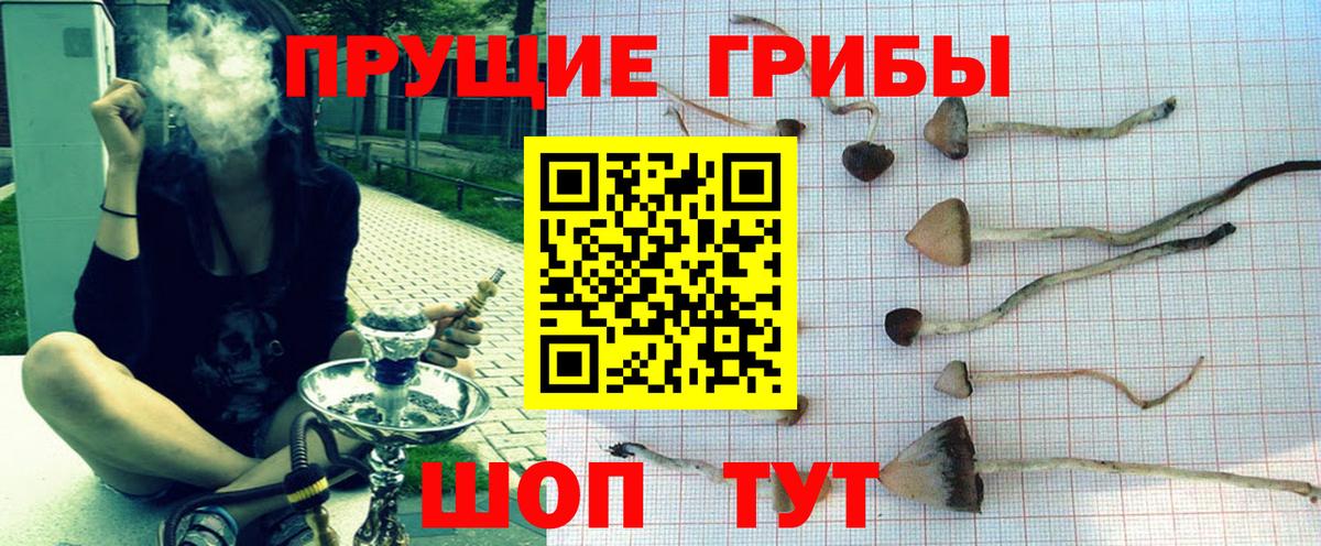 Псилоцибиновые грибы ЛСД Нижний Тагил