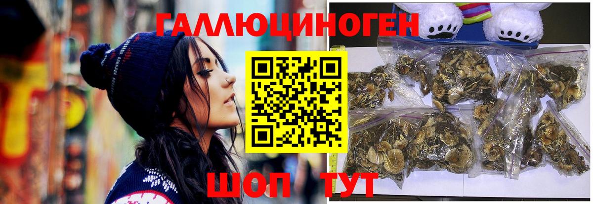 Галлюциногенные грибы прущие грибы  Вход с VPN  Нижний Тагил 